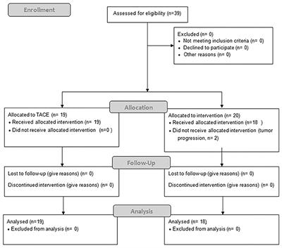 Efficacy of Stereotactic Body Radiotherapy in Patients With Hepatocellular Carcinoma Not Suitable for Transarterial Chemoembolization (HERACLES: HEpatocellular Carcinoma Stereotactic RAdiotherapy CLinical Efficacy Study)